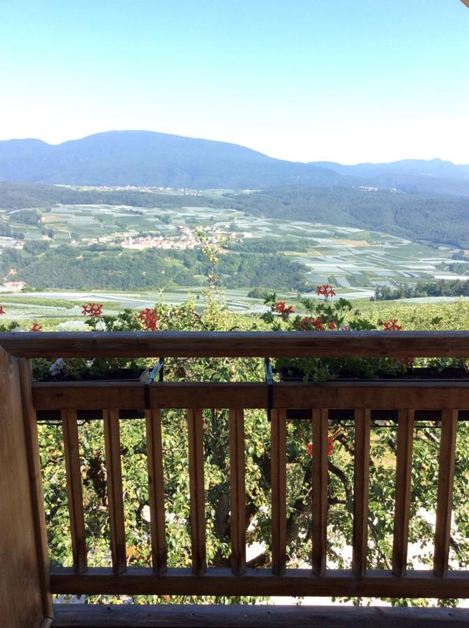 Вилла Agriturismo Maso Tafol Cloz Номер фото
