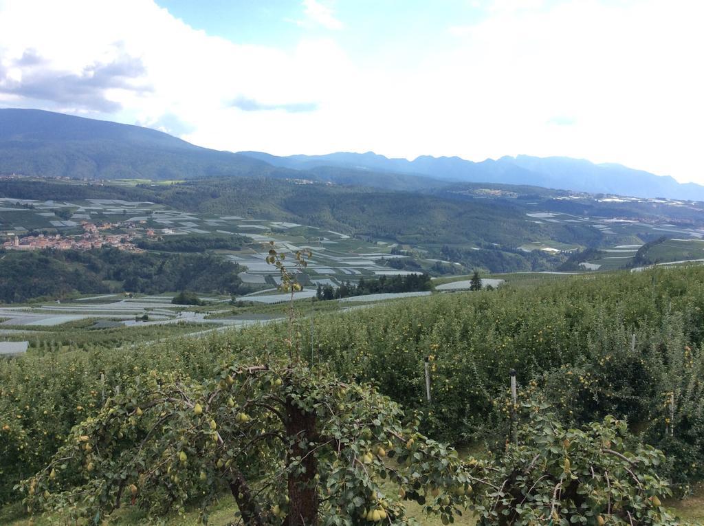 Вилла Agriturismo Maso Tafol Cloz Экстерьер фото