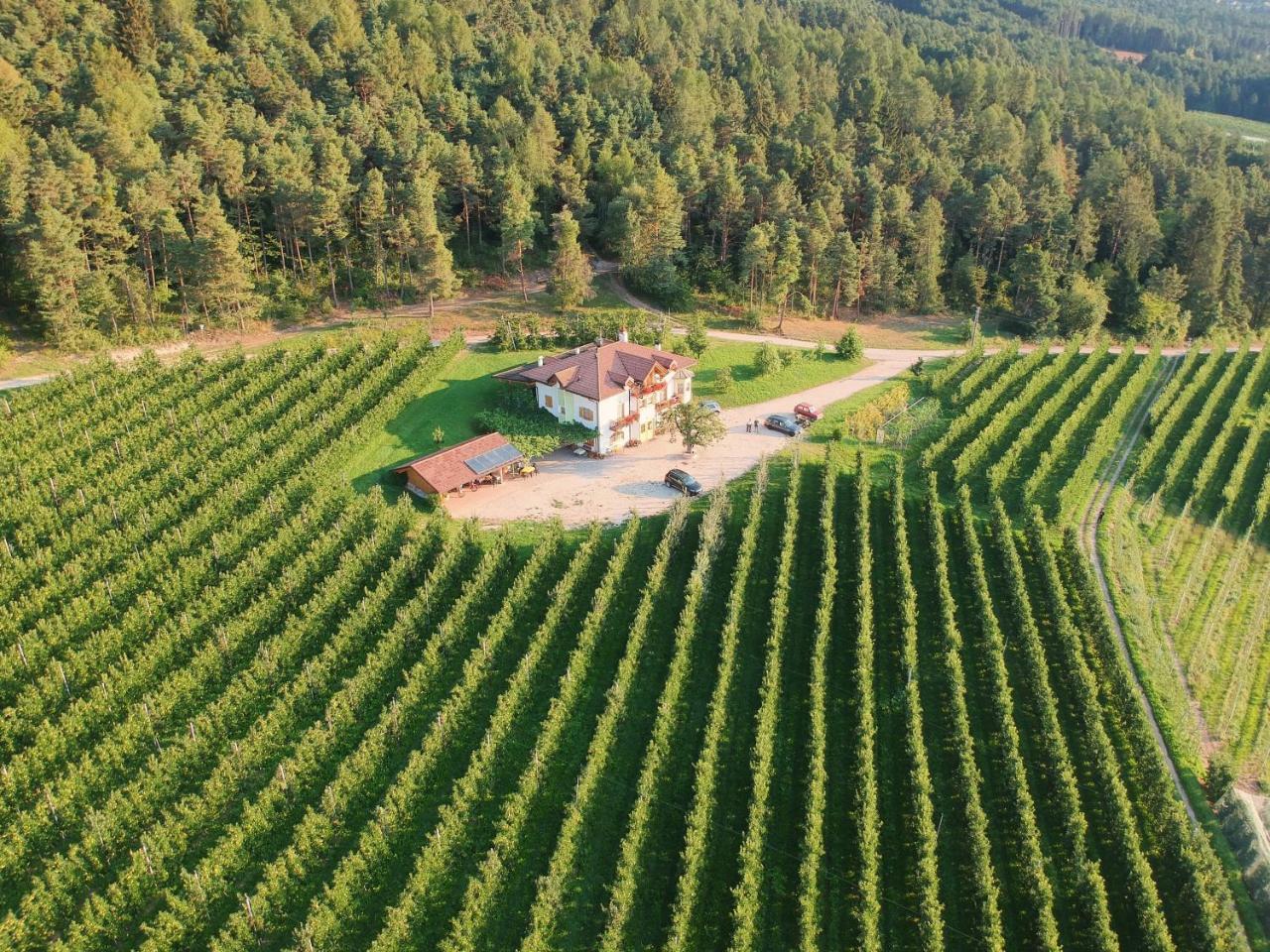 Вилла Agriturismo Maso Tafol Cloz Экстерьер фото